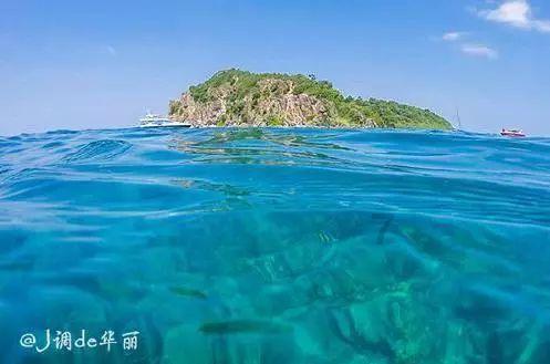 小企鹅逃生