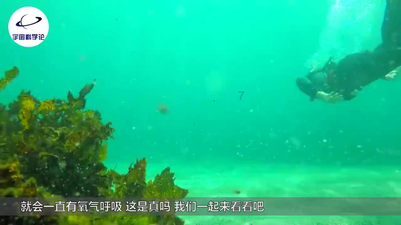 虫虫助手下载